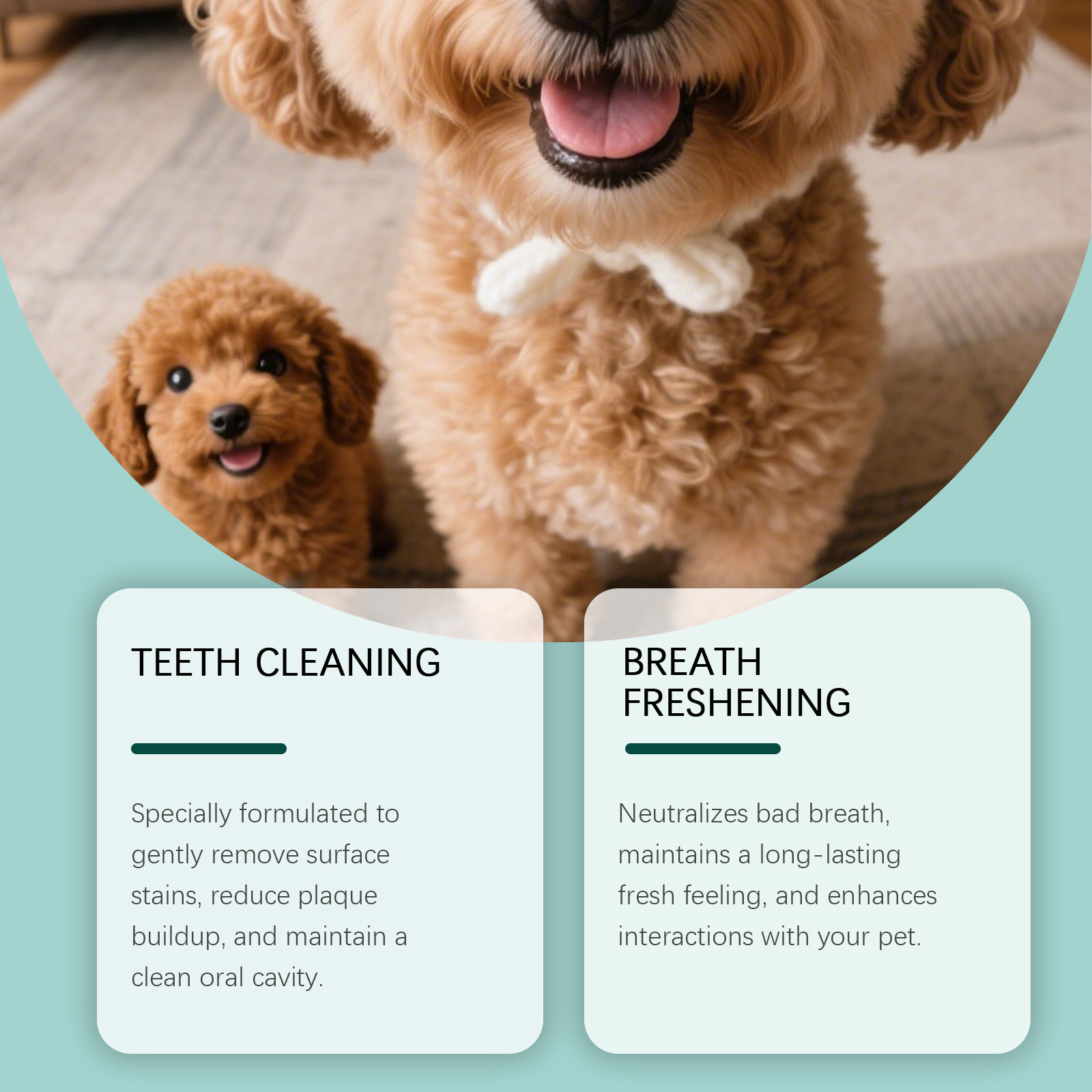 Bubuk Pembersih Gigi Anjing Pe - Teeth Whitening Powder ulasan dan harga