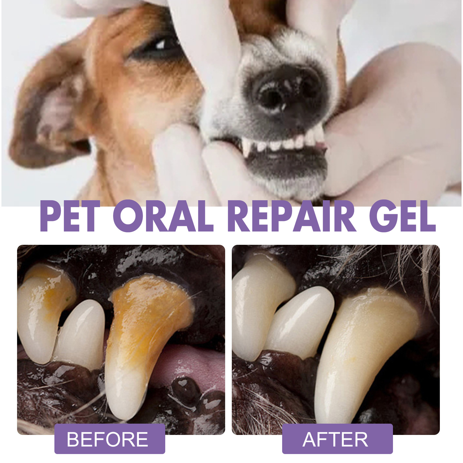 Gel perbaikan mulut hewan peli - Teeth Whitening Foam ulasan dan harga