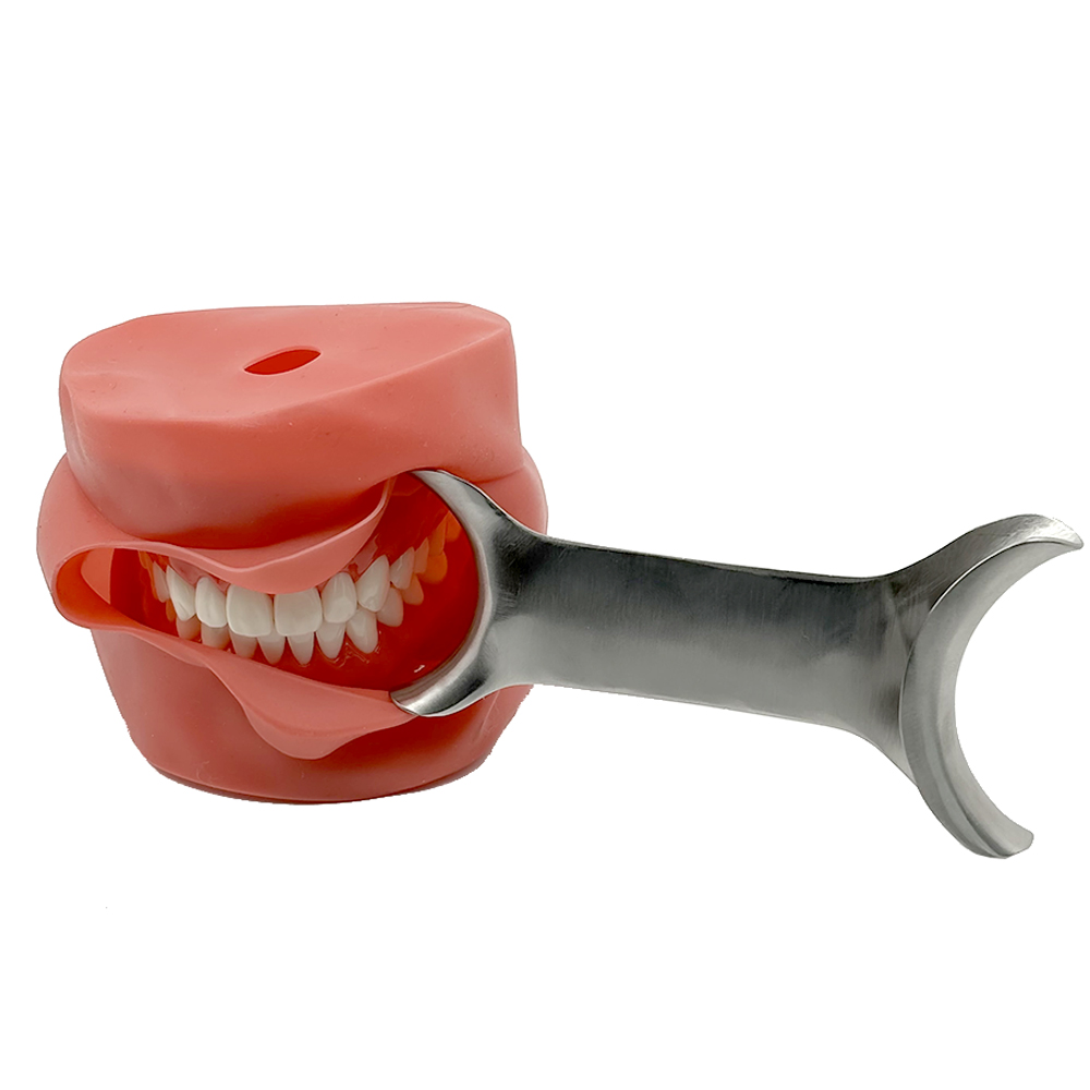 3 Buah Alat Gigi Baja Tahan Ka - Teeth Whitening For Photos ulasan dan harga